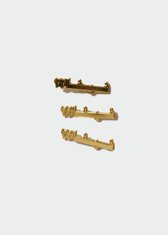HARLIENZ FIFA PIN